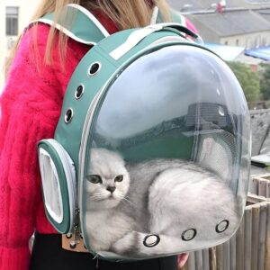 Cat Carrier Breathable Backpack Travel Space Capsule Cage