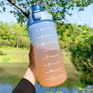 Gradient Water Bottle