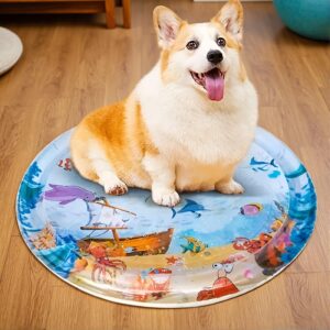 Inflatable Water Mat For Cat And Dog – Ocean Breeze Splashland