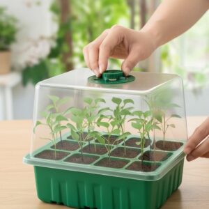 12 Pack Seedling Box – Greenhouse Mini Breeding Station, Multifunctional Potted Succulent Planting Pots with Ventilation Lids, Insulation & Moisturizing Plates for Optimal Germination.